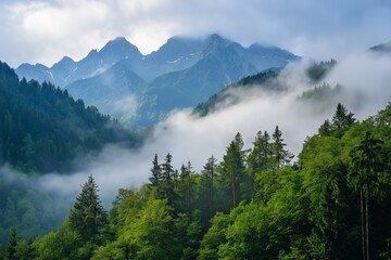 Fototapeta premium Mountain landscape with misty pine forest and striking peaks. Serene and peaceful scene capturing natural splendor.
