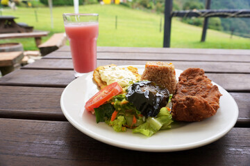 Light picnic lunch with breaded fish, vegetable salad, seasoned rice, green plantain, and guava juice.