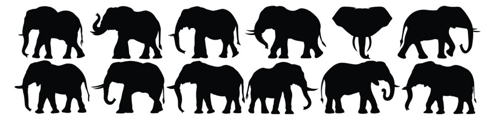 Elephant silhouettes set, pack of vector silhouette design, isolated background