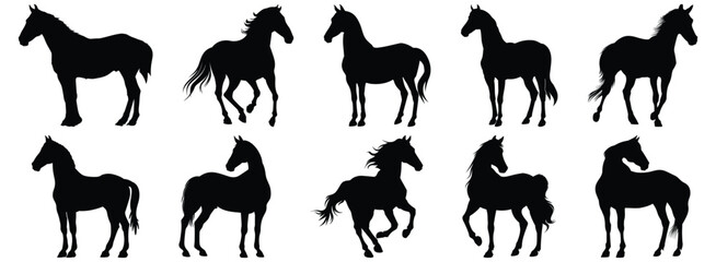 Horse silhouette set vector design big pack of animal illustration and icon