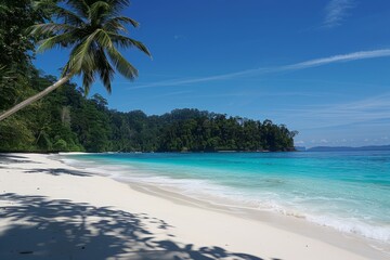 Beautiful Tropical Beach with Clear Waters