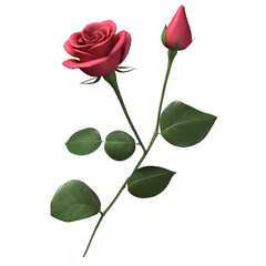 Obraz premium Red rose isolated on white background