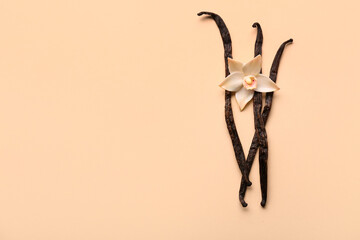 Beautiful vanilla flower and sticks on beige background