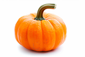Obraz premium pumpkin isolated on white background