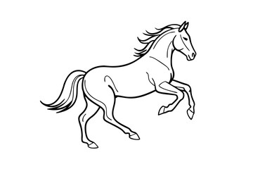 Rearing Horse Detailed Line Art Vector Illustration