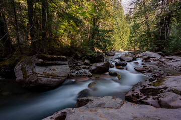Obraz premium Running river in Glacier National Park