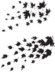 Maple autumn leaves falling silhouette, vector set of leaves falling