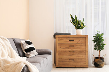 Cozy sofa, houseplants and chest of drawers in living room