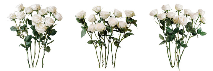 Untitled design - A set of White roses from a wedding bouquet separated and elegantly isolated on a transparent background (2)