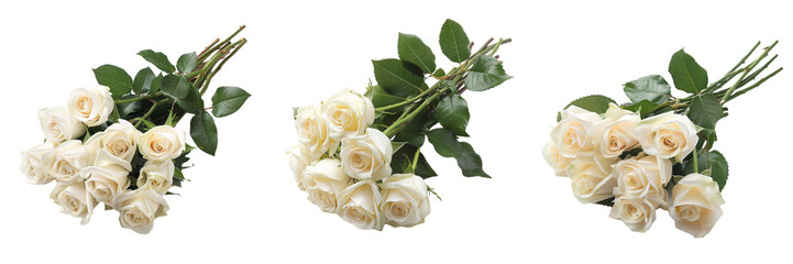 Untitled design - A set of White roses from a wedding bouquet separated and elegantly isolated on a transparent background (3)