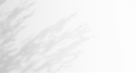 Obraz premium white paper background