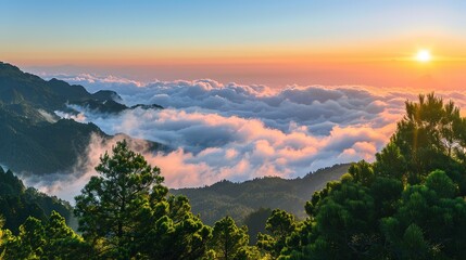 Landscape View Of Mountains And The Sea Of Clouds With Sunset At Eryanping Trail, Alishan National Scenic Area, Xiding, Chiayi,Taiwan
