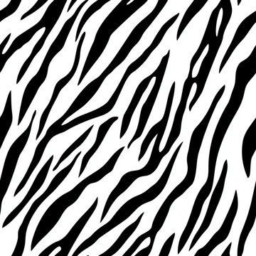 pattern with zebra