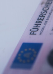 driving license in an styled  format