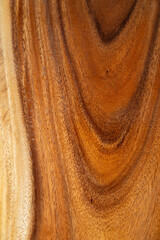 Wood background texture, abstract, nature background