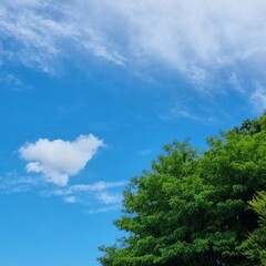 하트 구름이 만들어진 어느 날