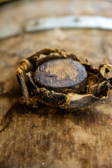 Aging process of cognac spirit in old dark French oak barrels in cellar in distillery house, Cognac white wine region, Charente, Segonzac, Grand Champagne, France