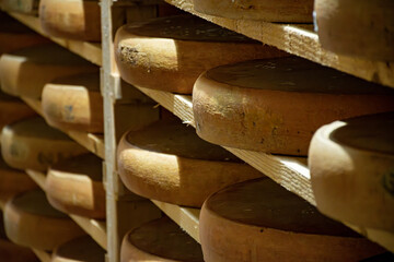 Aging rooms with shelves in cheese caves, central location for aging of wheels, rounds of Comte cheese from four months to several years made from raw cow milk, Jura, France