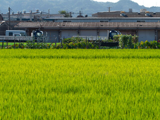 Obraz premium 大阪府八尾市の町工場と田園風景