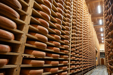 Aging rooms with shelves in cheese caves, central location for aging of wheels, rounds of Comte cheese from four months to several years made from raw cow milk, Jura, France