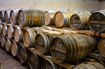 Aging process of cognac spirit in old dark French oak barrels in cellar in distillery house, Cognac...