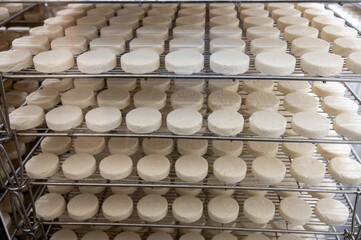 Rocamadour soft goat AOC cheese with soft rind produced on farm in Perigord and Quercy takes its name from village of Rocamadour in departement Lot, France