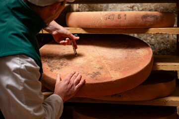 Cheese check in aging rooms with shelves in caves, central location for aging of wheels, rounds of Comte cheese from four months to several years made from unpasteurised cow milk, Jura, France