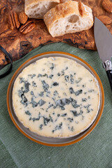 Cheese collection, piece of French blue cheese auvergne or fourme d'ambert