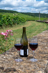 Tasting of red pinot noir wine on grand cru vineyards with cross and stone walls in Cote de nuits, making of famous red and white Burgundy wine in Burgundy region, Vosne-Romanee village