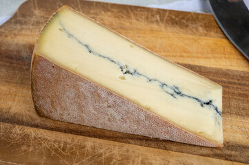 Cheese collection, French Morbier semi-soft cow milk cheese with black mold layer close up