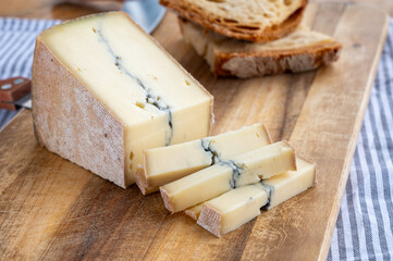 Cheese collection, French Morbier semi-soft cow milk cheese with black mold layer close up