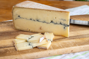 Cheese collection, French Morbier semi-soft cow milk cheese with black mold layer close up