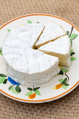 French soft Camembert cheese, original Camembert de Normandie, close up with white mold