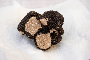 Winter truffle fair in Sarlat-le-Caneda, Perigord Noir, Dordogne, one huge black winter truffle, tasty expensive mushroom