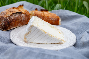 Delice de Bourgogne French cow's milk cheese from Burgundy region of France close up