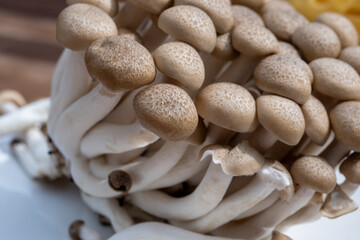 Brown shimeji edible mushrooms native to East Asia, buna-shimeji is widely cultivated and rich in umami tasting compounds