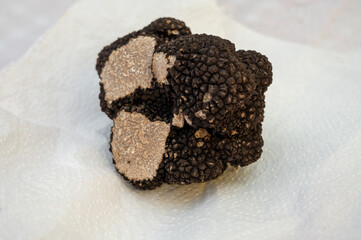 Winter truffle fair in Sarlat-le-Caneda, Perigord Noir, Dordogne, one huge black winter truffle, tasty expensive mushroom