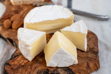 French soft Camembert cheese, original Camembert de Normandie made from raw cow milk