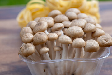 Brown shimeji edible mushrooms native to East Asia, buna-shimeji is widely cultivated and rich in umami tasting compounds