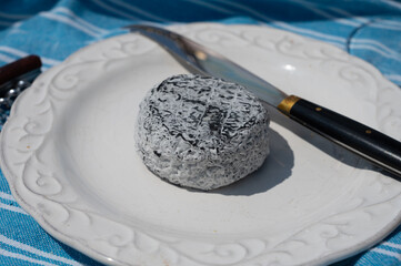 Picnic with cheese, French Cendre Lait cru Chevre cheese made from goat milk with ash in France served outdoor