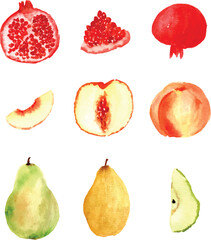 pomegranate and pear.eps