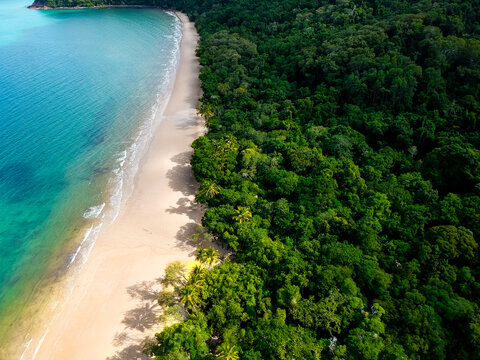 Remote beach in Australia on a sunny day. Daintree and Cape Tribulation location with rainforest and reef taken by drone