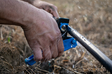 Man Using Hose Puncher for Irrigation Tape – Efficient Drip Irrigation Setup