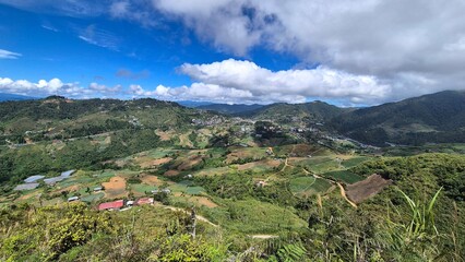 Fototapeta premium The wide open planes 