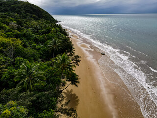 Beach, ocean, Rainforest