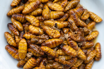 Fried silkworm pupae serving on dish. Silkworm pupae are a good source of protein, lipids, minerals, and vitamins and are considered a good source of nutrients for humans.