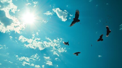 Fototapeta premium Birds glide effortlessly through the open sky, masters of flight and freedom.