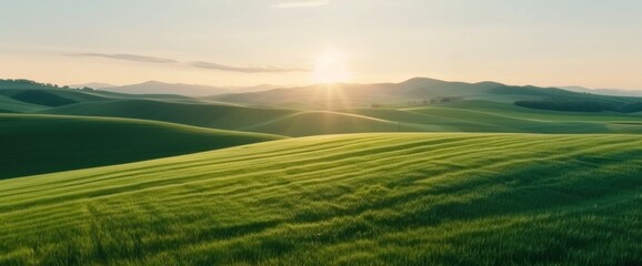 Aerial view of Romanian green hills, copy space, natural lighting