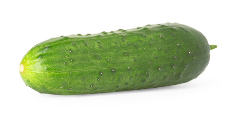 One fresh green cucumber isolated on white