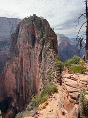 Zion national park　ザイオン国立公園